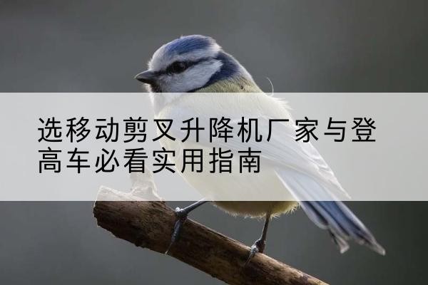 确山电动升降机厂家-选移动剪叉升降机厂家与登高车必看实用指南
