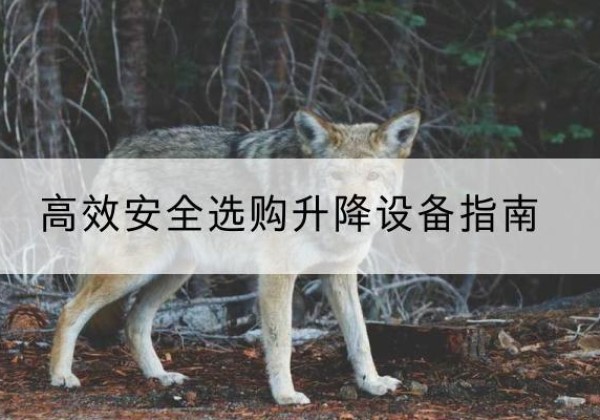 确山升降货梯厂家推荐-*安全选购升降设备指南