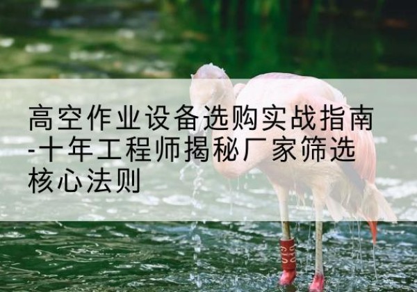 确山剪叉式升降机厂家-高空作业设备选购实战指南-十年工程师揭秘厂家筛选核心法则